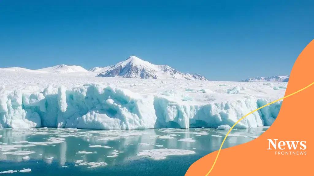 Climate crisis update: urgent information you need